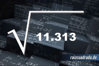 ¿Qué se obtiene al resolver la raíz de 11313?