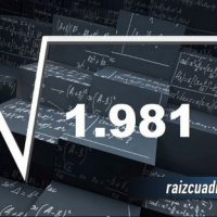 Resultado de la raíz cuadrada de 1981