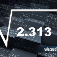 ¿Qué se obtiene al resolver la raíz de 2313?