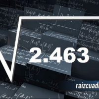 ¿Cuál es la raíz cuadrada de 2463?