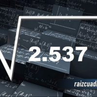 ¿Cuál es la raíz de 2537?