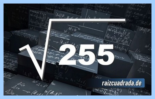 Representación matemáticamente la operación raíz de 255