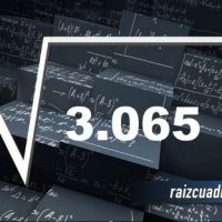 ¿Cuál es la raíz de 3065?
