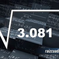 ¿Qué resultado obtenemos al resolver la raíz de 3081?