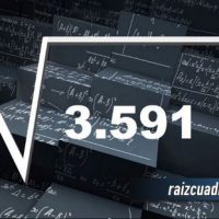 ¿Cuál es la raíz de 3591?