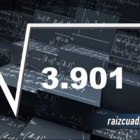 Resultado de la raíz de 3901