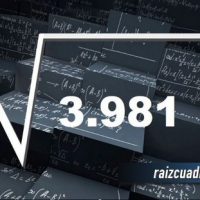 ¿Qué resultado obtenemos al resolver la raíz de 3981?