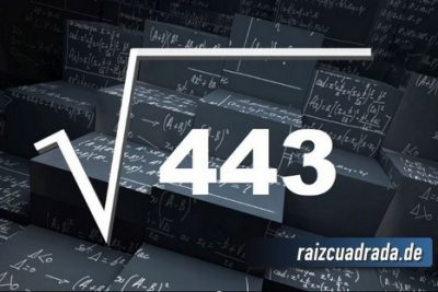 ¿Cuál es la raíz de 443?