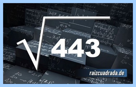 Como se representa habitualmente la operación matemática raíz del número 443