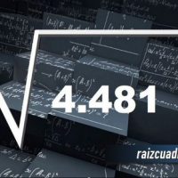 Resultado de la raíz de 4481