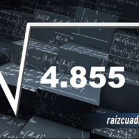Resultado de la raíz de 4855