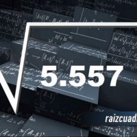 ¿Qué resultado obtenemos al resolver la raíz cuadrada de 5557?