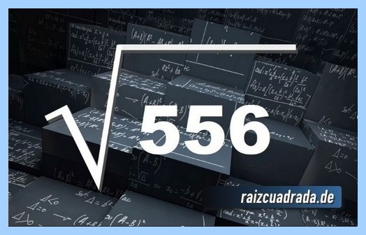 Como se representa habitualmente la operación raíz del número 556