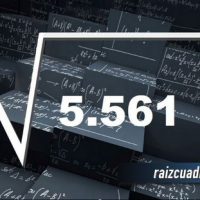 ¿Qué se obtiene al resolver la raíz cuadrada de 5561?