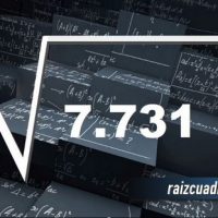 ¿Cuál es la raíz de 7731?