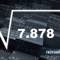 Resultado de la raíz de 7878