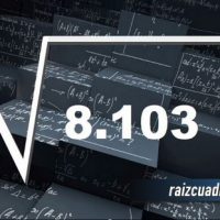 ¿Cuál es la raíz de 8103?