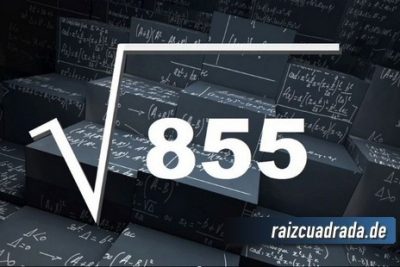 ¿Cuál es el resultado de la raíz cuadrada de 855?