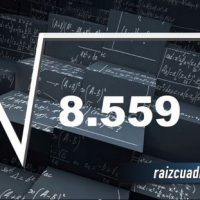 ¿Cuál es la raíz de 8559?