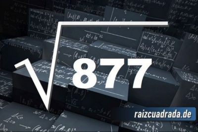 ¿Qué resultado obtenemos al resolver la raíz cuadrada de 877?