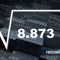 ¿Cuál es el resultado de la raíz cuadrada de 8873?
