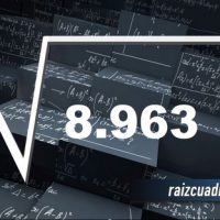 ¿Cuál es el resultado de la raíz cuadrada de 8963?
