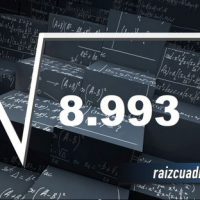 ¿Cuál es el resultado de la raíz cuadrada de 8993?