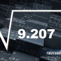¿Cuál es el resultado de la raíz cuadrada de 9207?