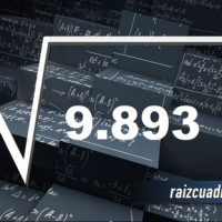 ¿Cuál es la raíz de 9893?