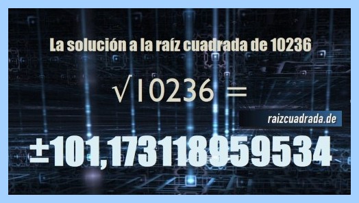 Solución que se obtiene en la raíz del número 10236