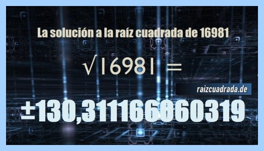 Solución conseguida en la resolución operación matemática raíz de 16981