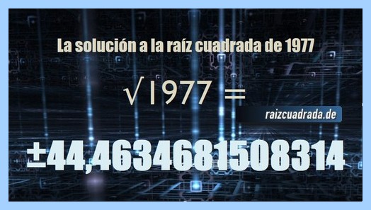 resultado final de la resolución operación matemática raíz cuadrada del número 1977