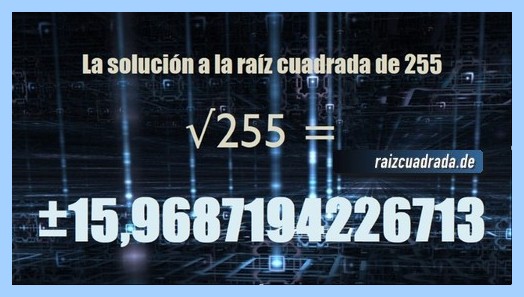 Solución que se obtiene en la operación raíz cuadrada del número 255
